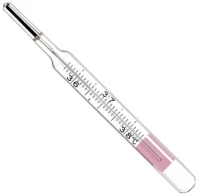 Clinical Thermometer Geratherm Basal 