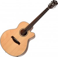 Acoustic Guitar Ibanez AEL108TD 