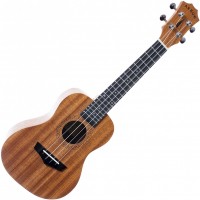 Photos - Acoustic Guitar Arrow MH10 