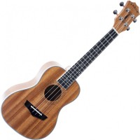Photos - Acoustic Guitar Arrow MH10 Plus 
