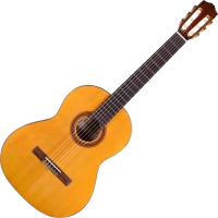 Acoustic Guitar Cordoba Dolce 