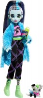 Doll Monster High Creepover Party Frankie Stein HKY68 