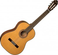 Photos - Acoustic Guitar Washburn C40 