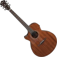 Photos - Acoustic Guitar Ibanez AE295L 