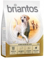 Photos - Dog Food Briantos Adult Maxi Chicken/Rice 1 kg