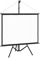 Photos - Projector Screen VidaXL Tripod 105x86 