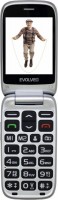 Photos - Mobile Phone Evolveo EasyPhone FS 0 B