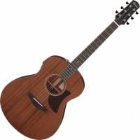 Acoustic Guitar Ibanez AAM740E 