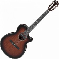 Acoustic Guitar Ibanez AEG74N 