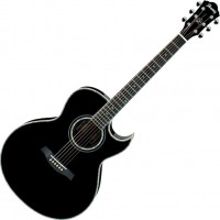 Photos - Acoustic Guitar Ibanez JSA10 