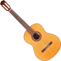 Photos - Acoustic Guitar Cordoba C5 Lefty 