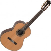 Photos - Acoustic Guitar ALVARO L-60 