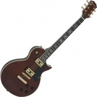 Guitar Dimavery LP-700 