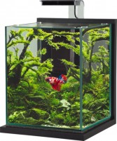 Photos - Aquarium Zolux Jalaya 18.7 L