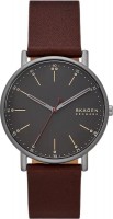 Wrist Watch Skagen Signatur SKW6860 