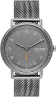 Wrist Watch Skagen Kuppel SKW6891 