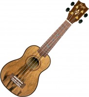 Acoustic Guitar Flight DUS-430 Dao 