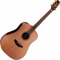 Photos - Acoustic Guitar Takamine FN15 AR 