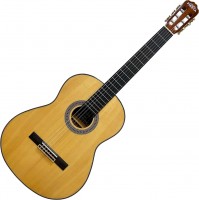 Photos - Acoustic Guitar Fiesta AC-02 