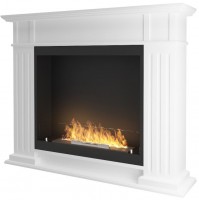 Photos - Bio Fireplace Infire Inportal 1 