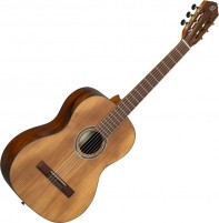 Acoustic Guitar Ortega R23RO 