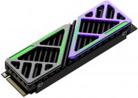 SSD HIKSEMI Future HS-SSD-FUTUREX 1024G 1.02 TB with radiator