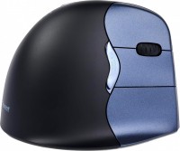 Mouse Evoluent 4 Small Wireless Vertical Mouse 