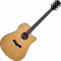 Acoustic Guitar Arrow Gold D CE 