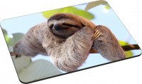 Mouse Pad Pedea Gaming Office Mauspad L Chilling Sloth 
