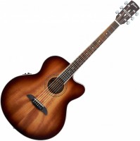 Acoustic Guitar Framus FJ 14 M CE 