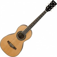 Photos - Acoustic Guitar Ibanez PN1 