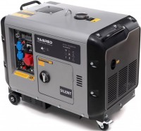 Photos - Generator Tagred TA10300TDS 