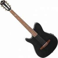 Acoustic Guitar Ibanez TOD10NL 