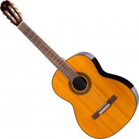 Photos - Acoustic Guitar Takamine GC1LH 