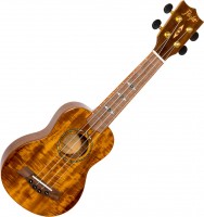 Acoustic Guitar Flight DUS-445 Glossy Acacia 