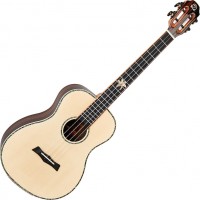 Photos - Acoustic Guitar Snail BHC-5B 