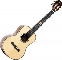 Photos - Acoustic Guitar Snail BHC-5T 