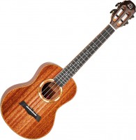 Acoustic Guitar Snail S10T 