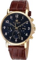 Wrist Watch Tommy Hilfiger Daniel 1710380 