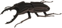 Photos - 3D Puzzle Fridolin Stag Beetle 11606 