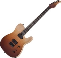 Photos - Guitar Schecter PT SLS Elite 