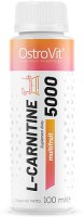 Photos - Fat Burner OstroVit L-Carnitine 5000 100 ml 100 ml