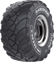 Photos - Truck Tyre Ascenso FTR 170 650/55 R26.5 178D 