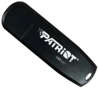 Photos - USB Flash Drive Patriot Memory Xporter Core 256Gb 