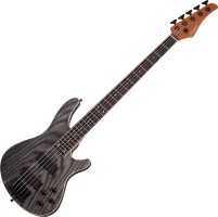 Photos - Guitar Schecter C-5 Standard 