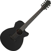 Acoustic Guitar Ibanez AEG721 