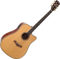 Photos - Acoustic Guitar Arrow Platinum D CE 