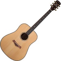 Photos - Acoustic Guitar Arrow Platinum D 