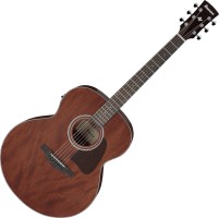 Photos - Acoustic Guitar Ibanez AJ54E 