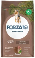 Photos - Dog Food Forza 10 Maintenance Adult Medium Lamb 12 kg 